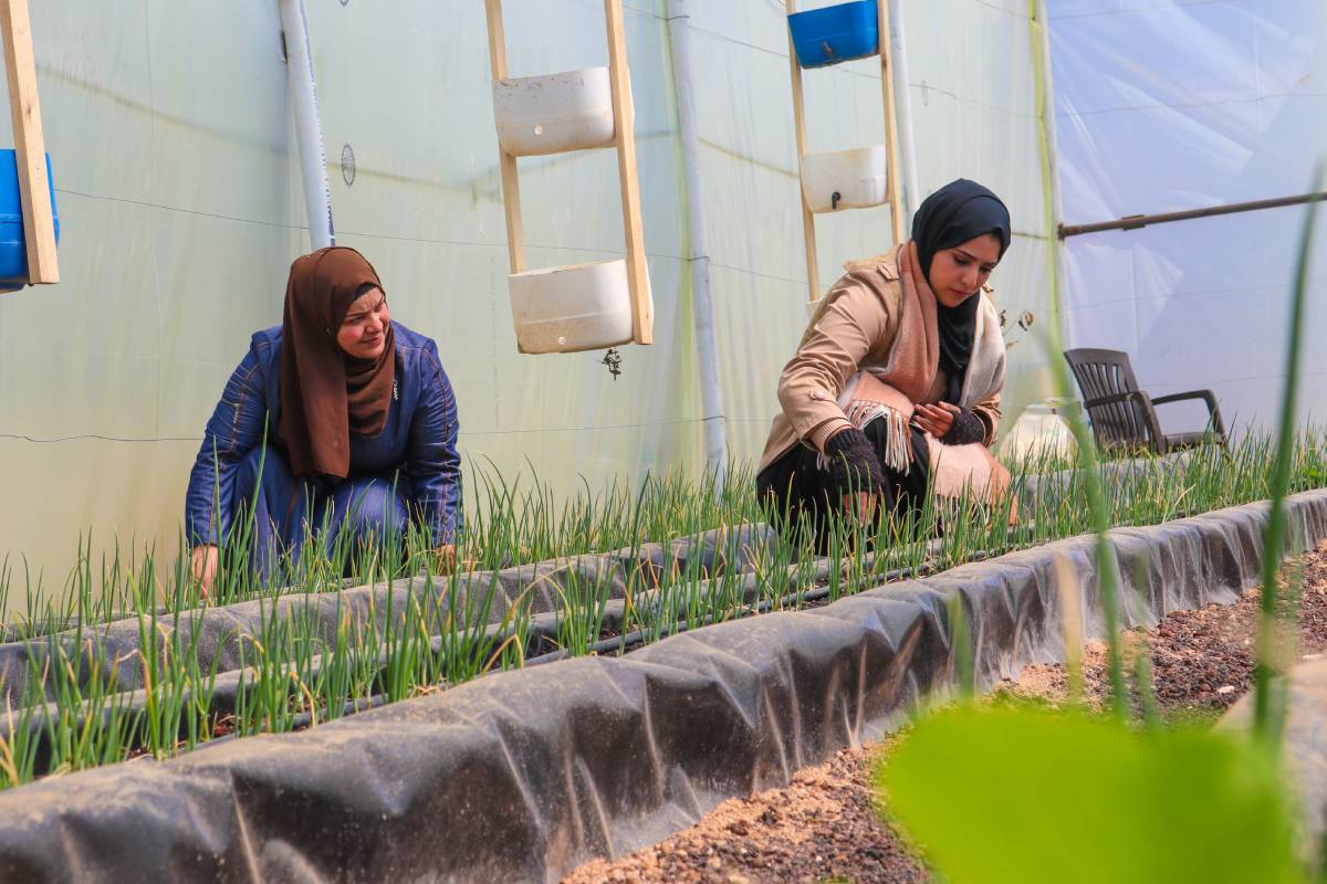 Lwf Debra Journal Hydroponics2