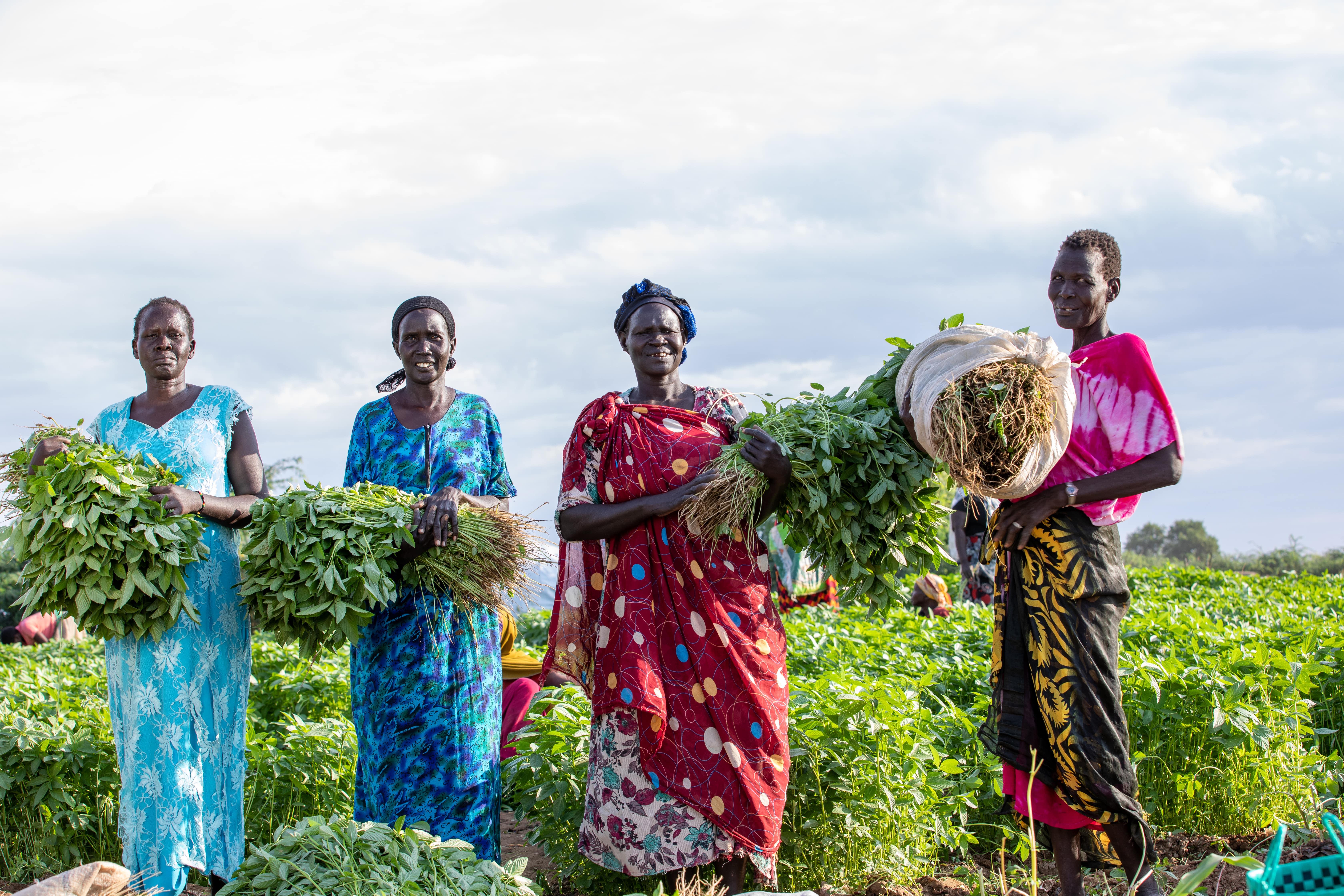 From L to R: Daruka, Akoh, Achot and Martha. They are vegetable vendors who buy their produce from Charo farm wher both Kenyans and refugees farm. They then sell these vegetables to both Kenyans and refugees, making money to support their families in different ways and children with education materials.