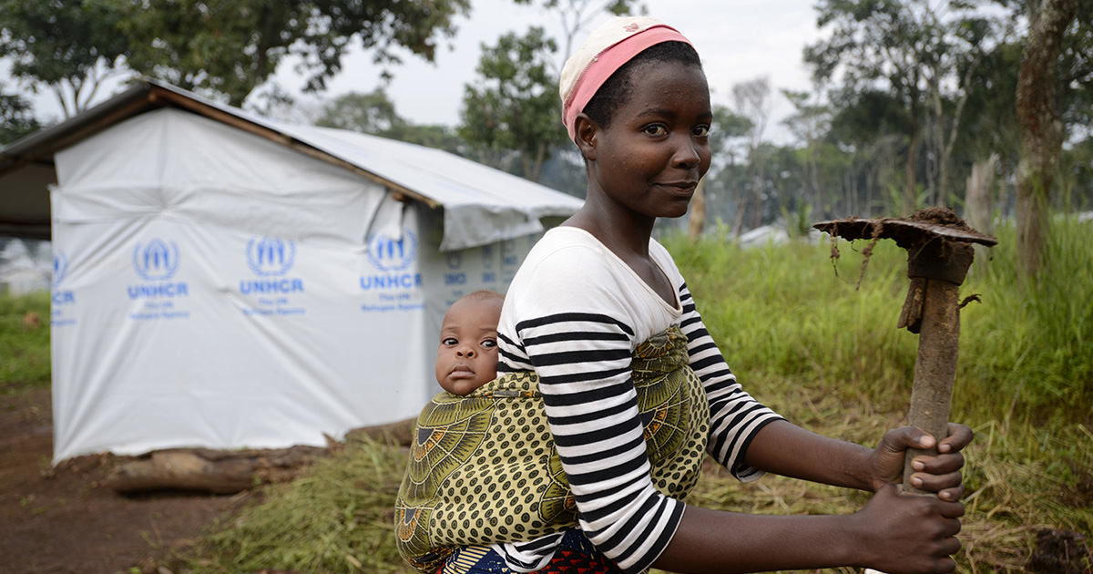 Seeds and farm tools